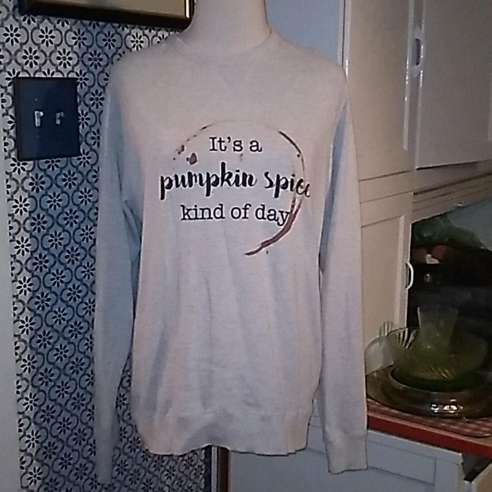PUMPKIN spice fall sweatshirt large